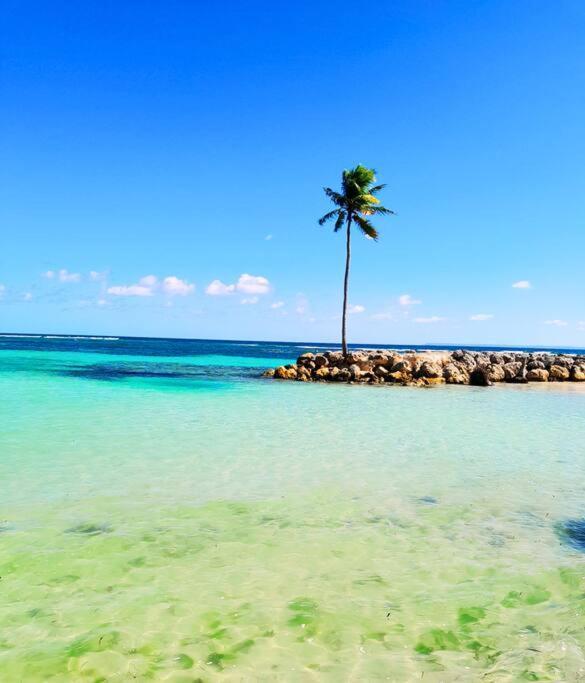Studio Karaibes Sainte-Anne  Exteriér fotografie